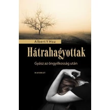 albert-y-hsu-hatrahagyottak.jpg