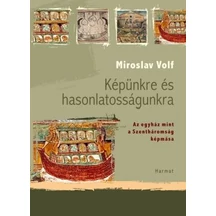 miroslav-volf-kepunkre-es-hasonlatossagunkra.jpg