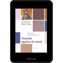 ebook - Vezetés egykor és most