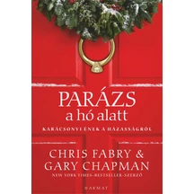parazs_a_ho_alatt