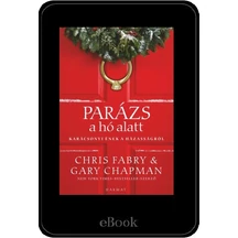 ebook - Parázs a hó alatt