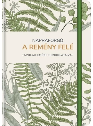 Napraforgo2025_latvany2