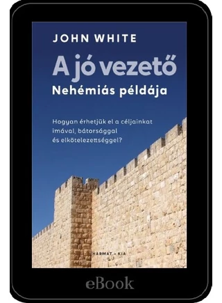 A_jo_vezeto_e_konyv